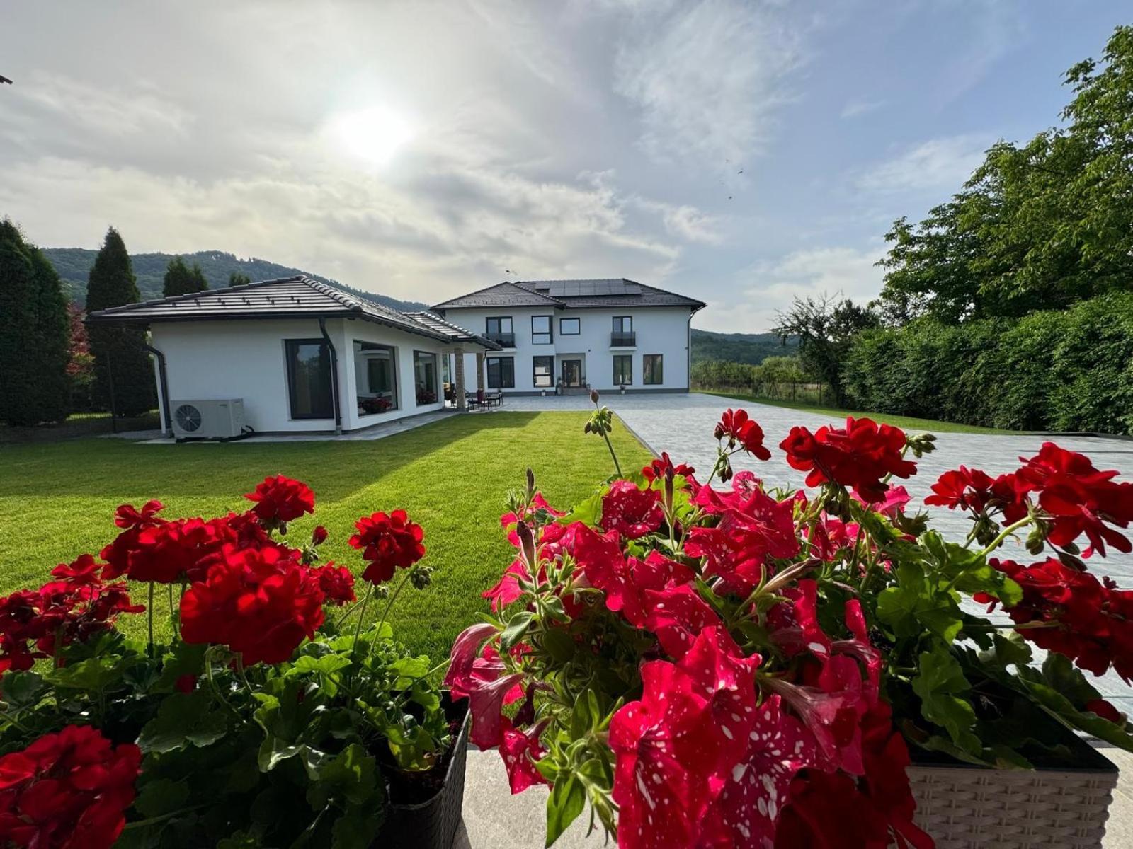 Vila Diamond Lux&Spa Совата Екстер'єр фото